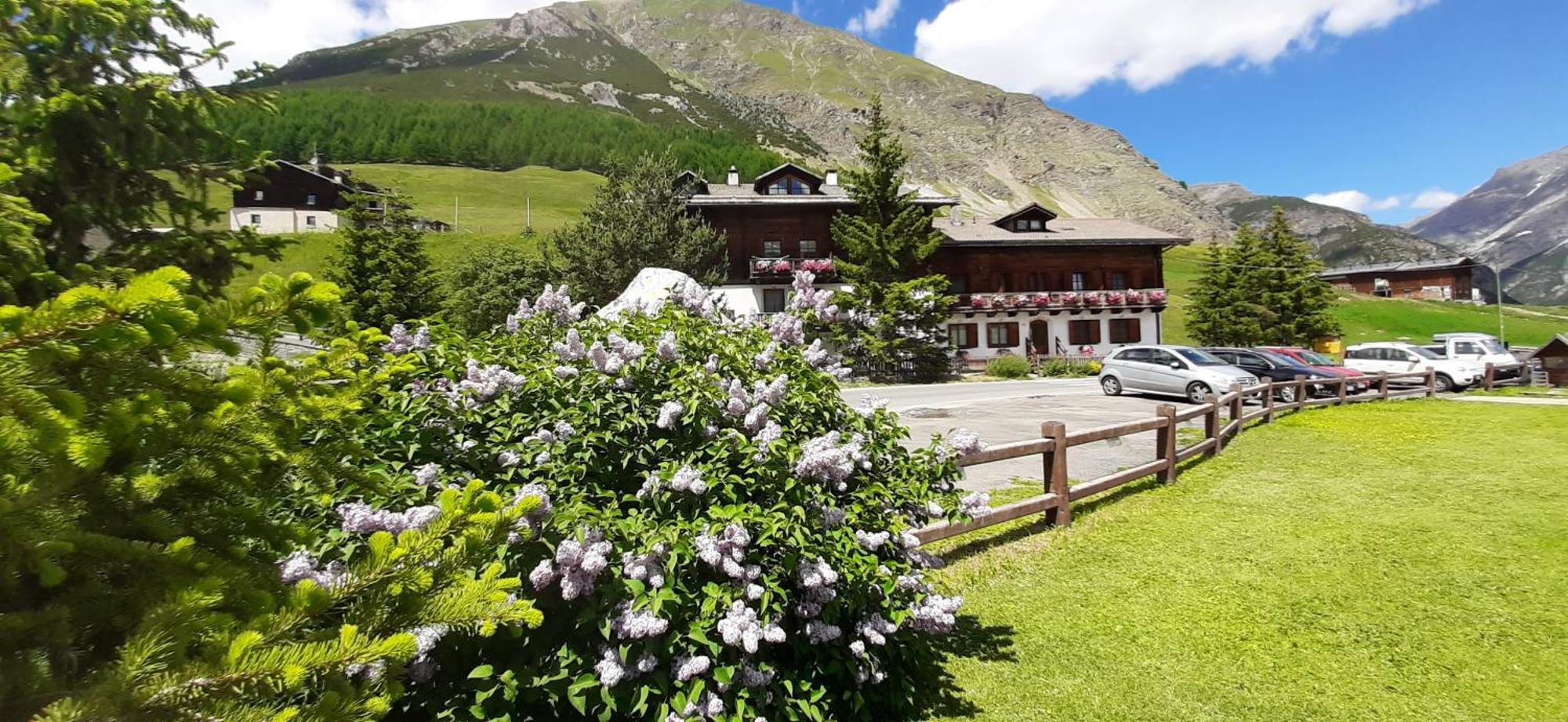 Chalet Del Sole Per Gruppi Livigno Exterior photo